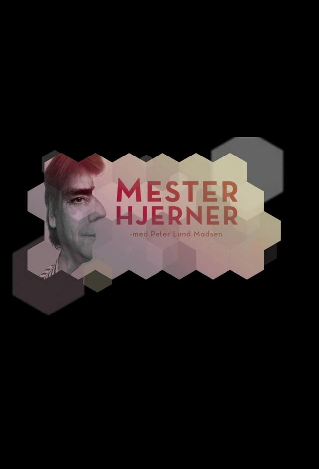 Mesterhjerner