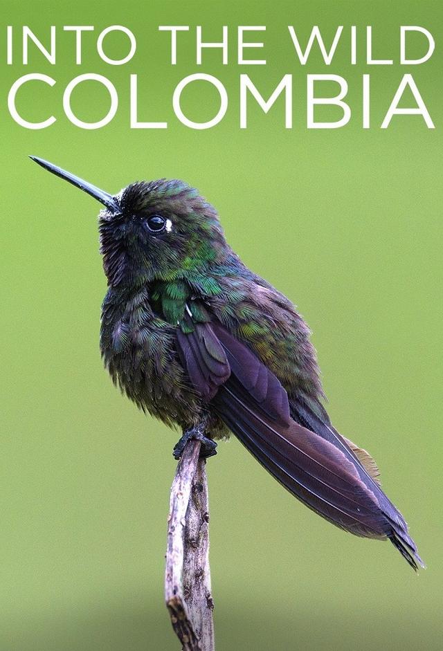 Into the Wild Colombia