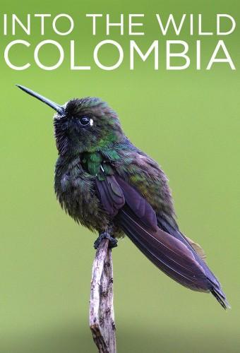 Into the Wild Colombia