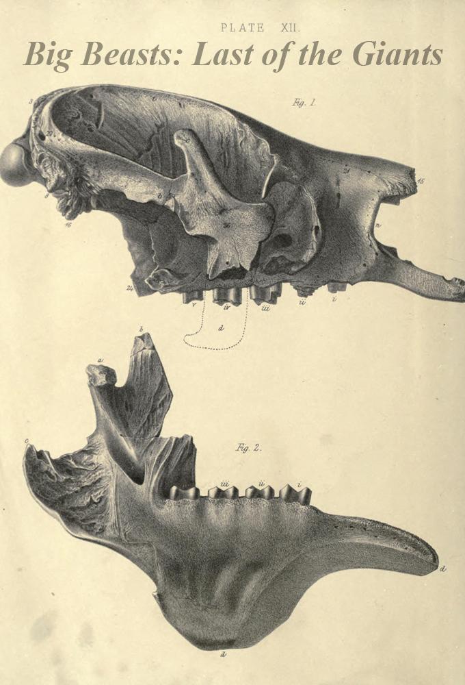 Big Beasts: Last of the Giants