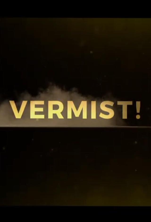 VERMIST!