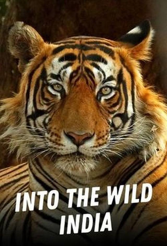 Into the Wild India