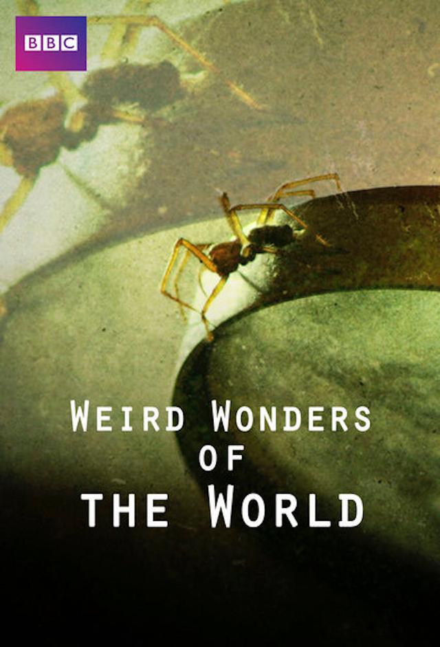 Weird Wonders of the World