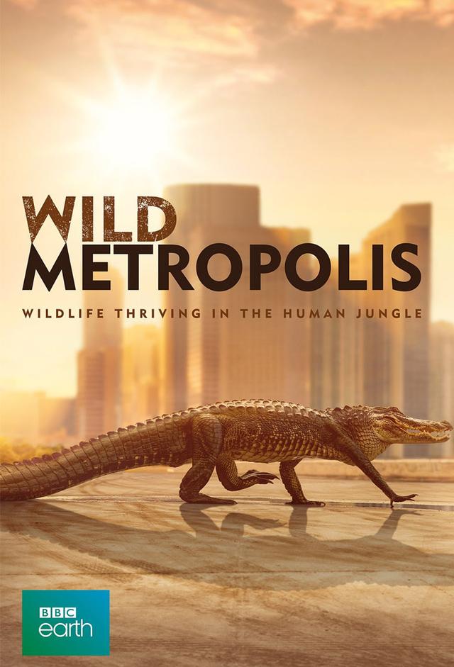 Wild Metropolis