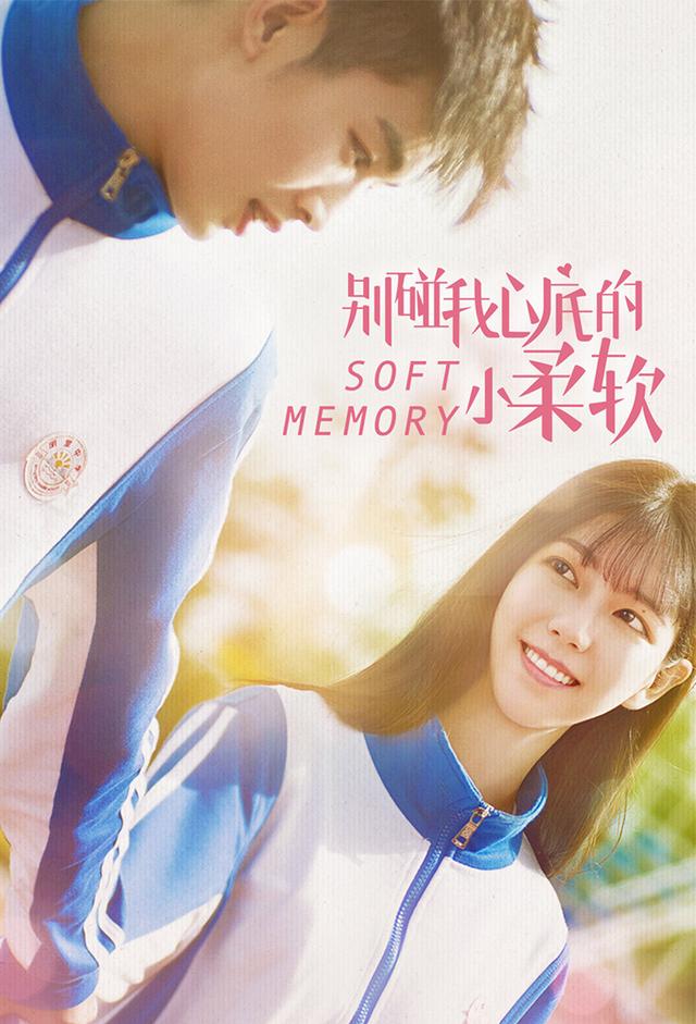 Soft Memory