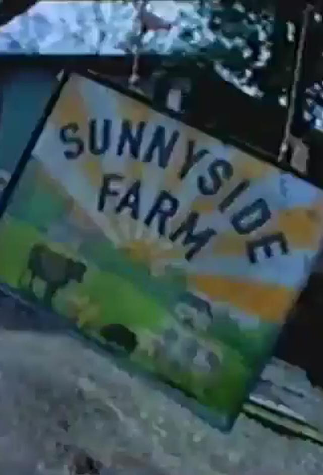 Sunnyside Farm