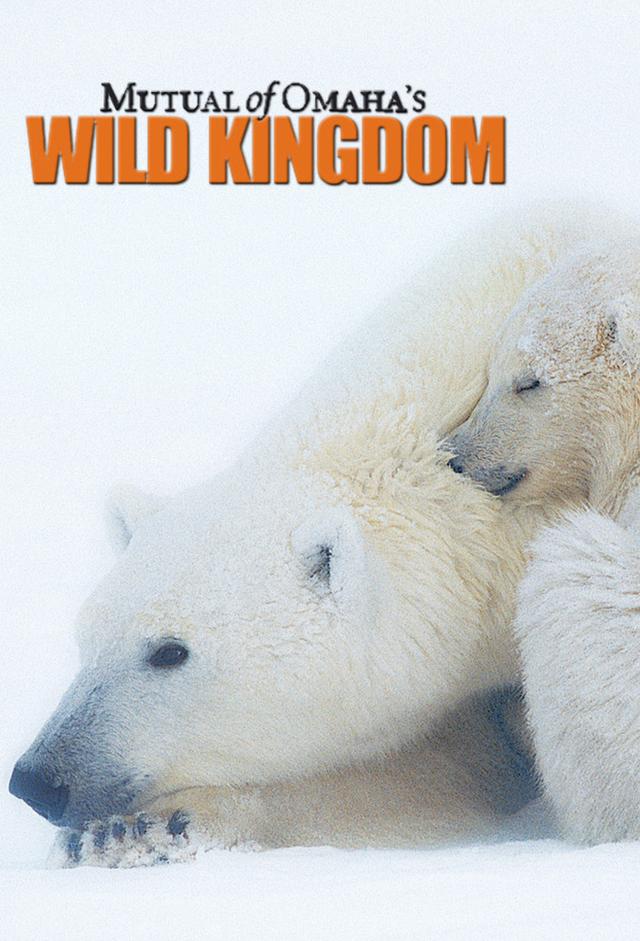 Mutual Of Omaha's Wild Kingdom