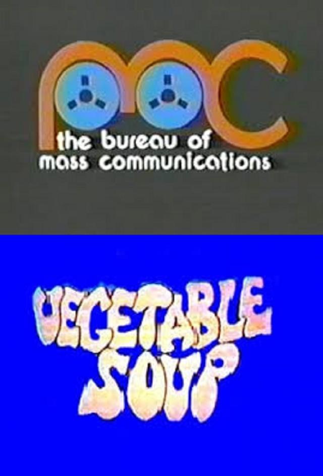 Vegetable Soup