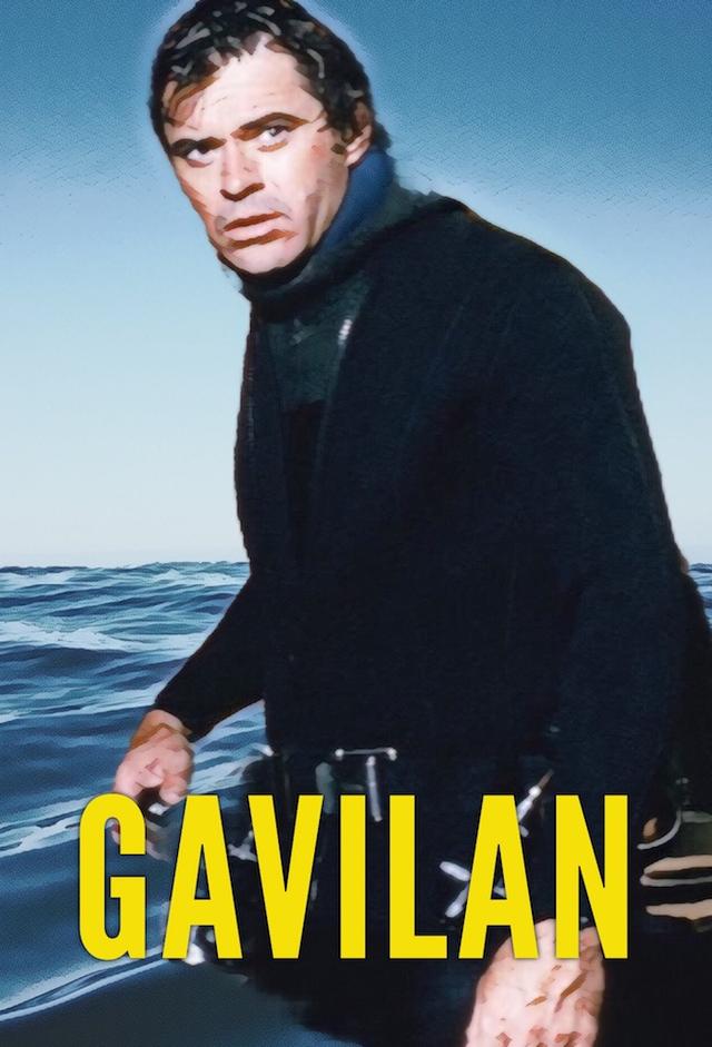 Gavilan