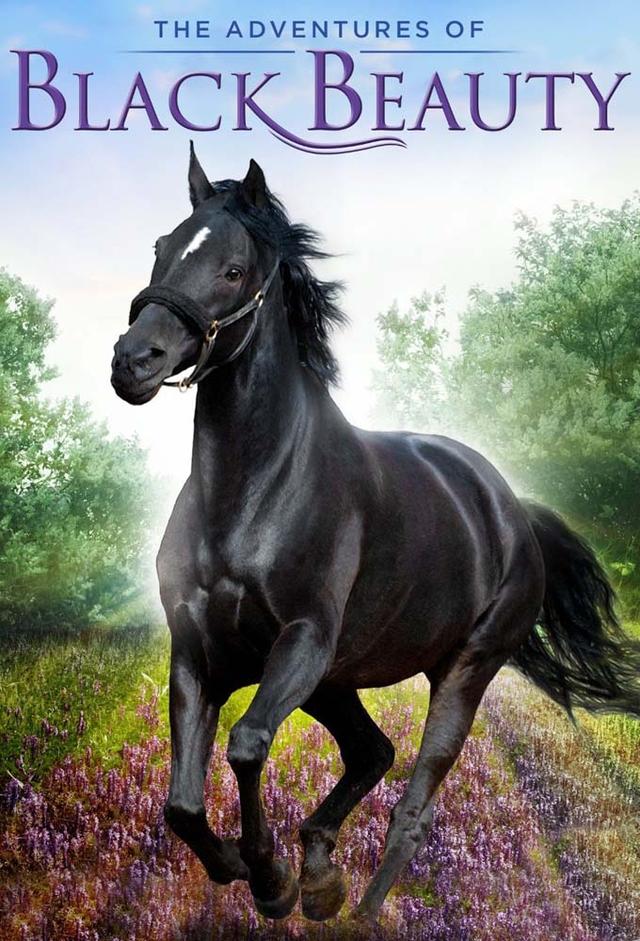 The Adventures of Black Beauty