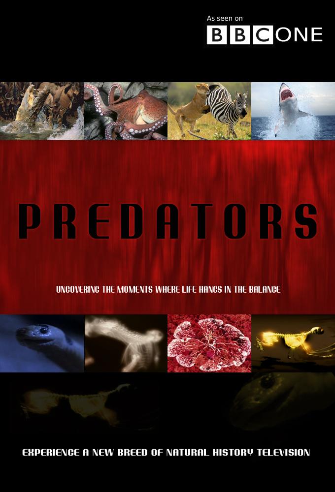 Predators