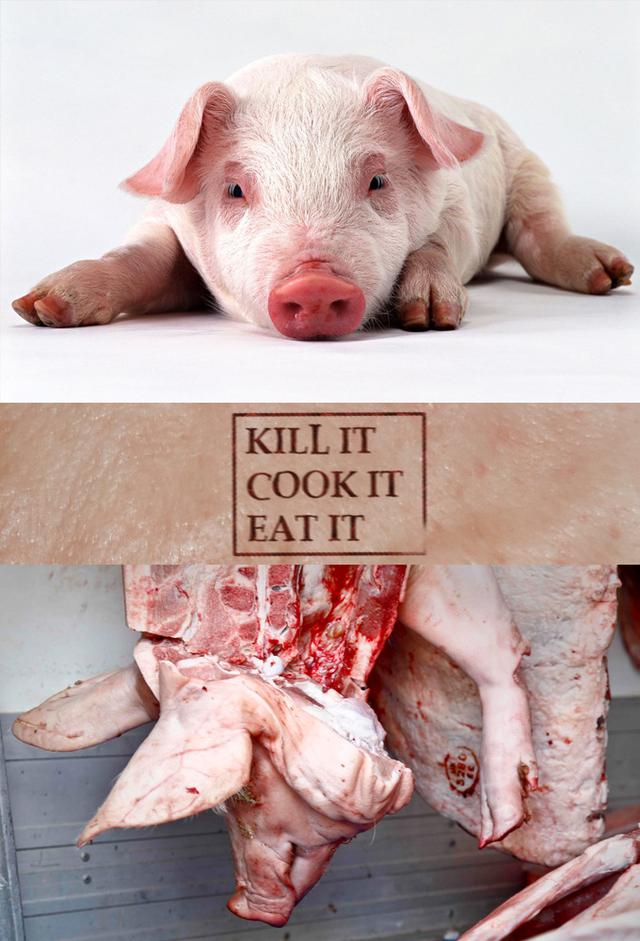 Kill it, Cook it, Eat it