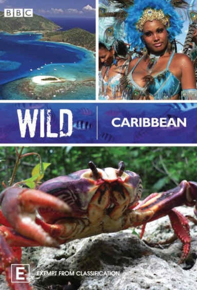Wild Caribbean