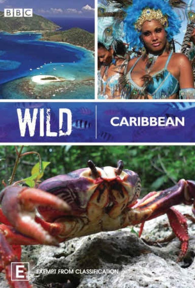 Wilde Karibik