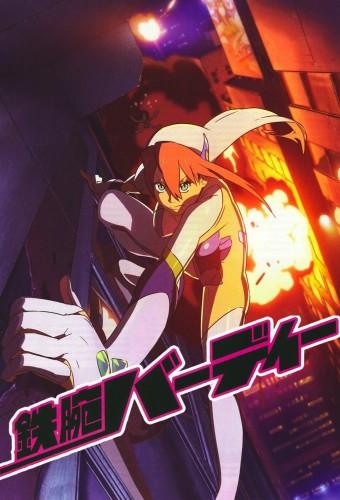 鉄腕バーディー DECODE