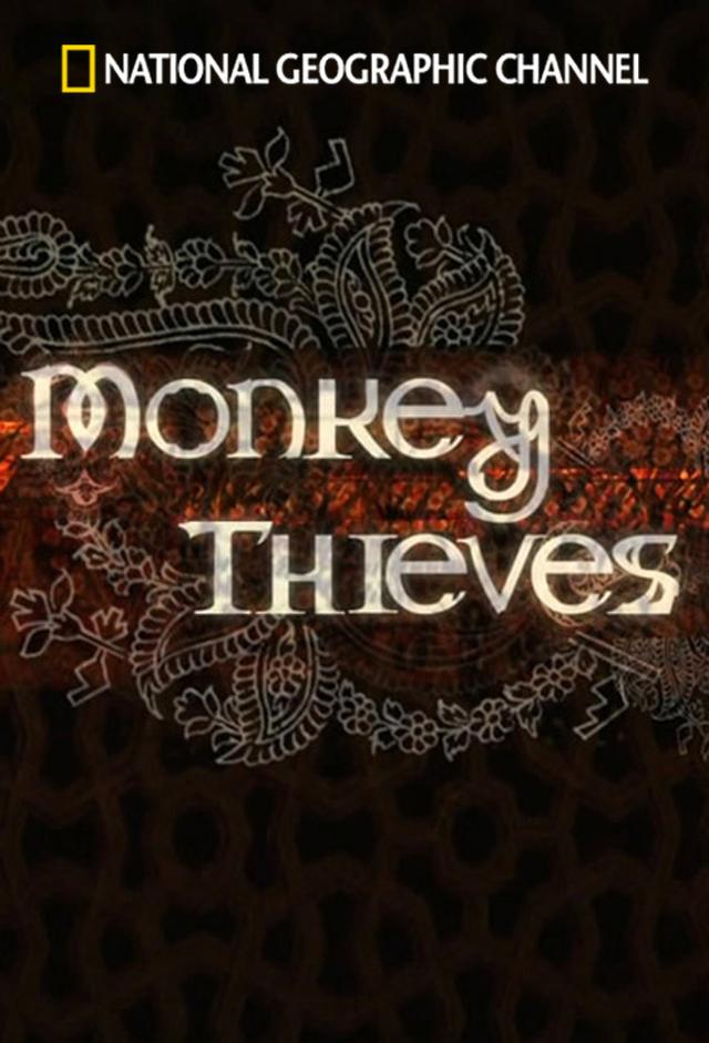 Monos ladrones