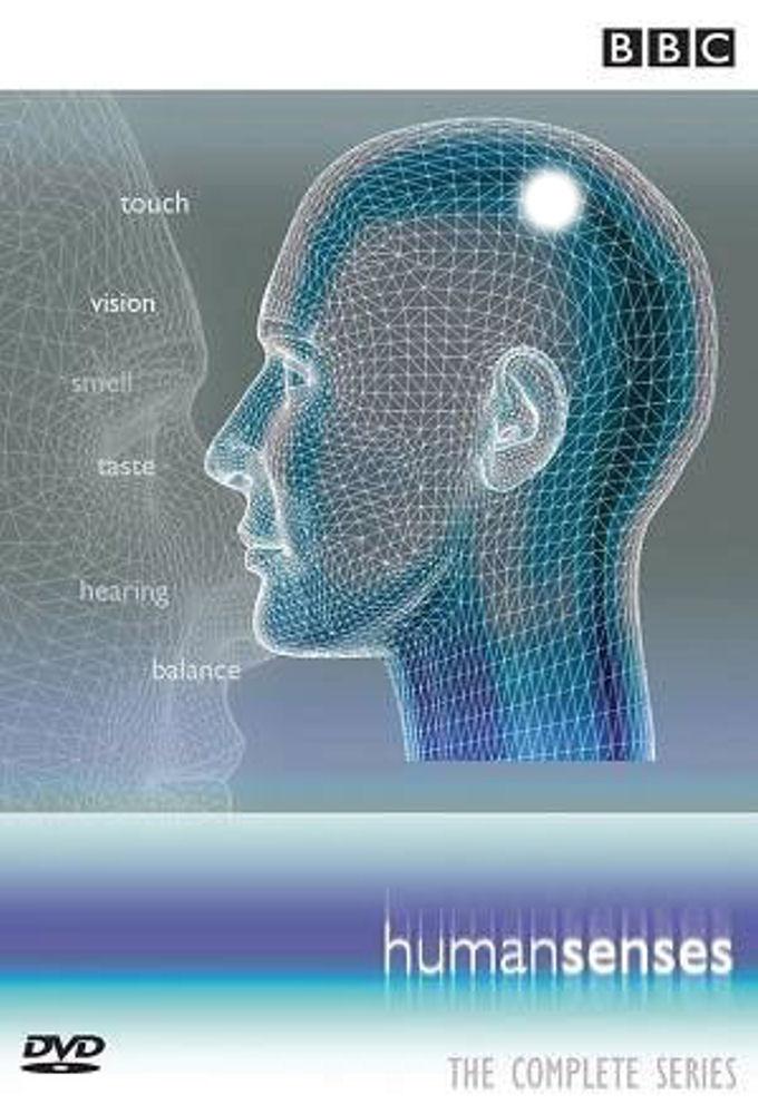 Human Senses