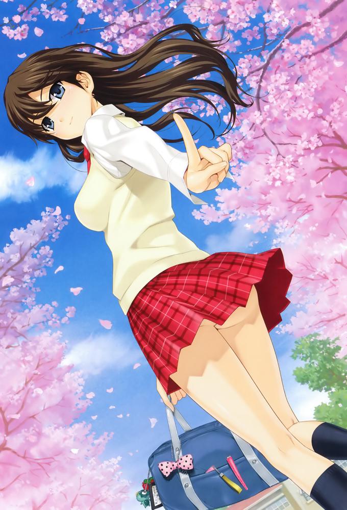 Master of Martial Hearts - Platonic Heart