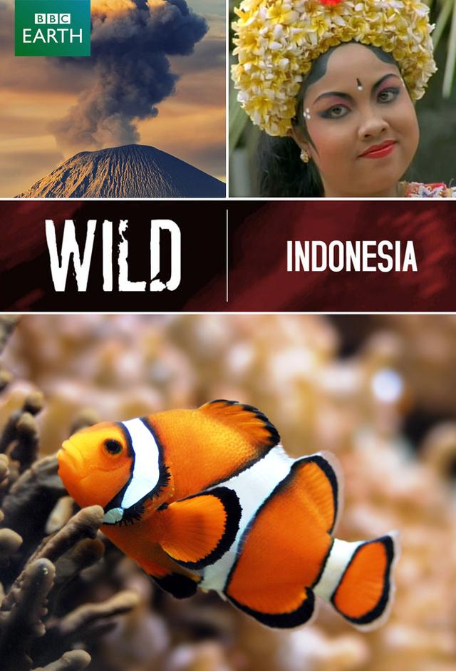 Indonesia salvaje