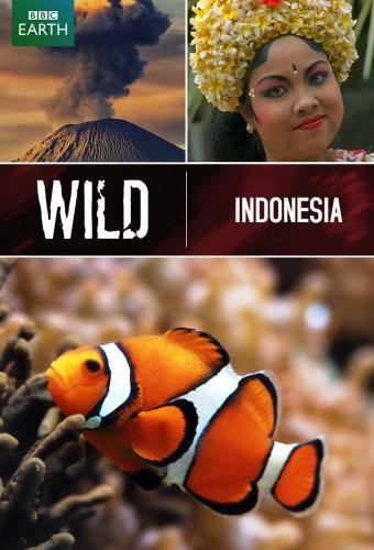 Wild Indonesia