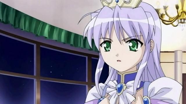 片翼だけのお姫様