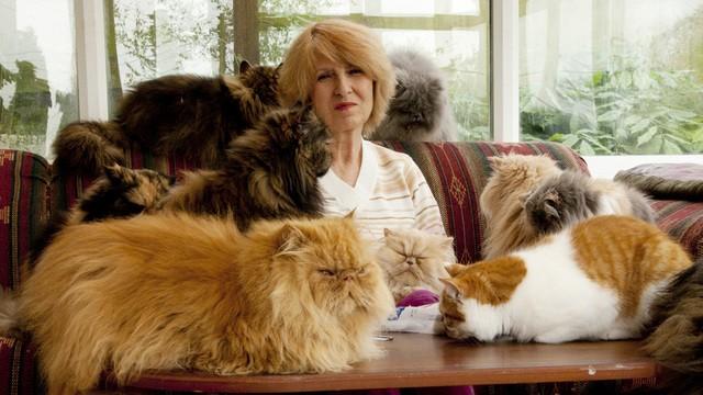 The Woman with 40 Cats... and Other Pet Hoarders