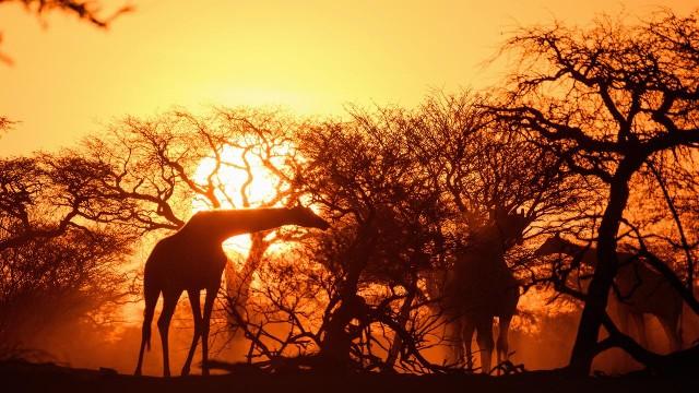 Abenteuer Namibia - Land der Extreme