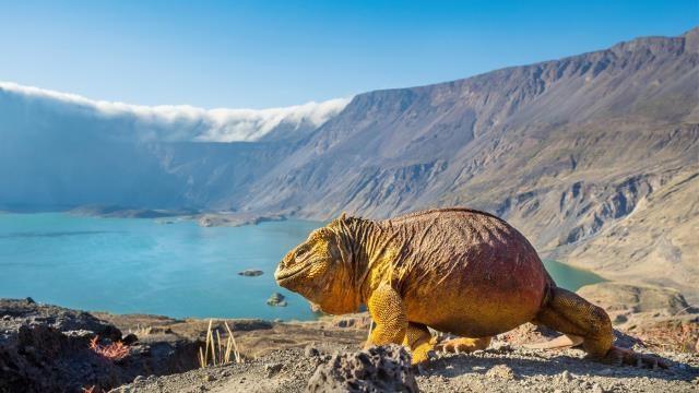 Ein perfekter Planet (1): Vulkane