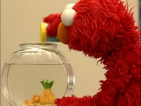 Food, Water & Exercise!