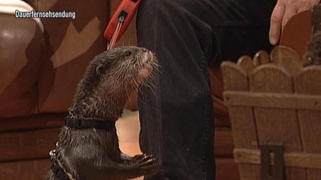 TV total Sendung vom 16.01.2013