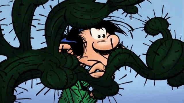 Le cactus