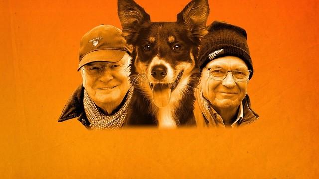 Hundklubben del 1
