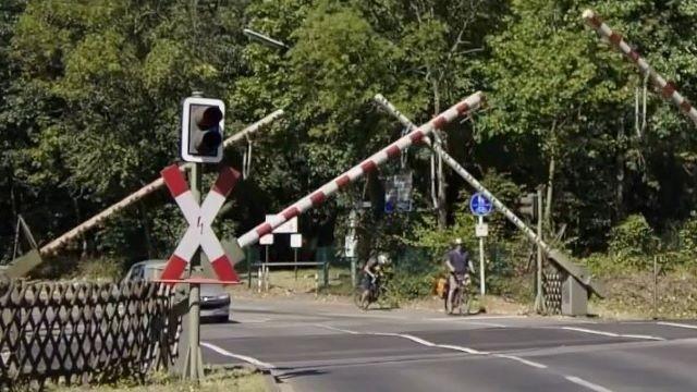 Früher-Heute-Geschichten: Schrankenwärter|   Willi Wiberg: Wo bist Du, Willi Wiberg?|   Das Geheimnis der Wildwarnreflektoren|   Shaun das Schaf: Körpertausch