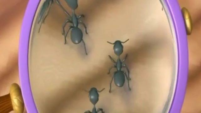Why Are the Ants Visiting Mimi?