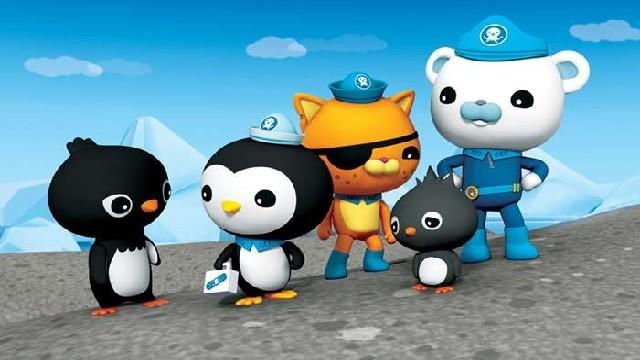 I pinguini dell' antardite