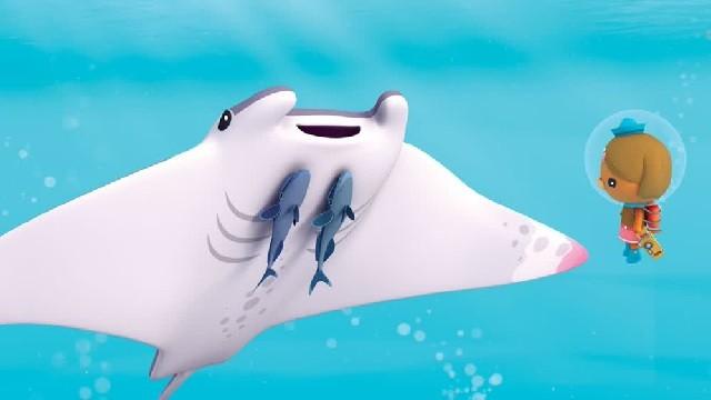 La Manta goffa