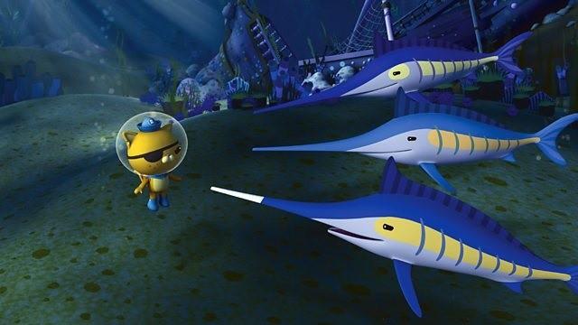 Il pesce spada prepotente