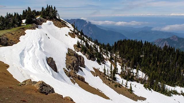 North America's National Parks: Olympic