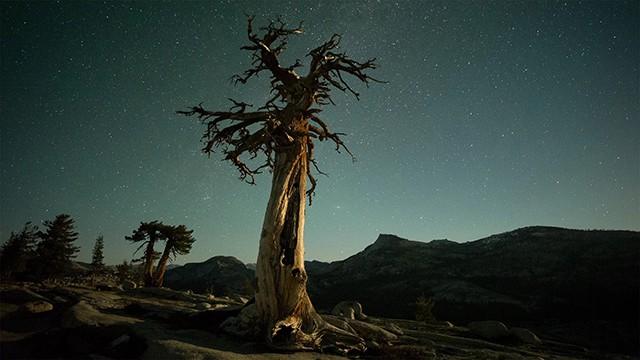 North America's National Parks: Yosemite