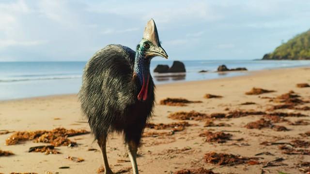 Mantereiden planeetta (4): Australia