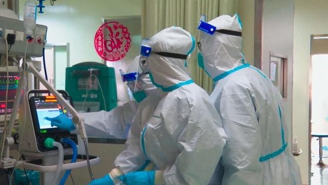 COVID: Race Against the Virus
