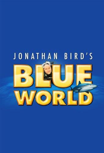 Jonathan Bird's Blue World