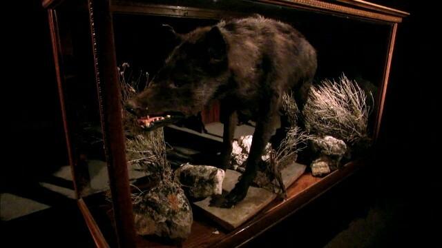 Brinks Heist, James Dean's Car, Saddam Hussein's Spider Hole, Ringdocus, Centralia, The Mary Celeste
