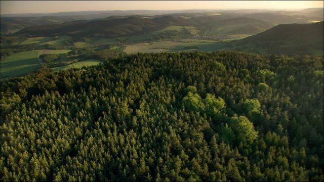 Der Thüringer Wald - Deutschlands grünes Herz