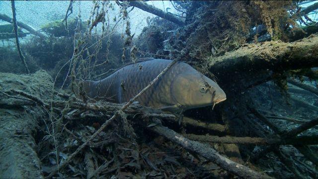 Unbekannte Tiefen 2 - Vom Harz bis zur Nordsee