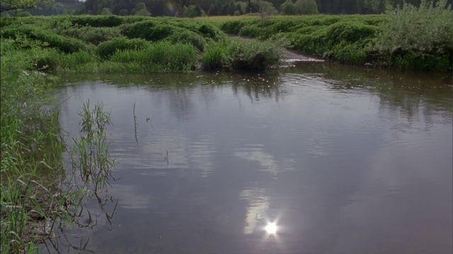 Die Donau
