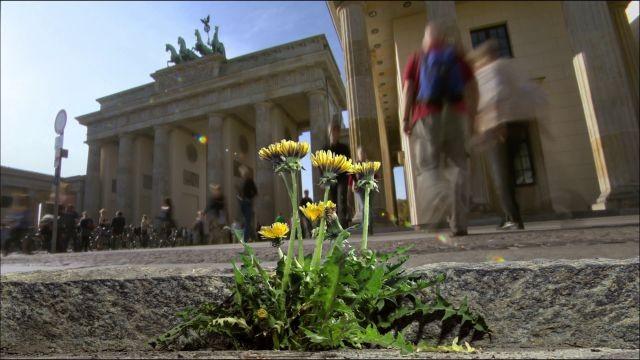 Wildes Berlin