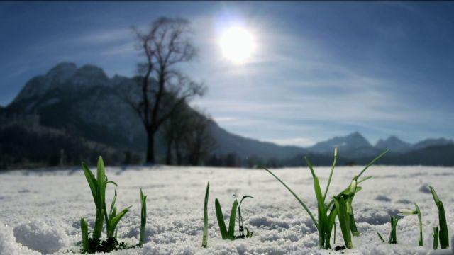 Das Alpenvorland