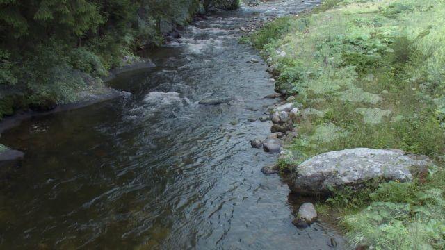 Die Elbe - Teil 1 - Vom Riesengebirge bis nach Dresden