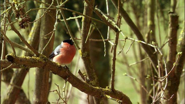 Spessart und Steigerwald